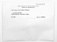 Image Associated With the Occurence